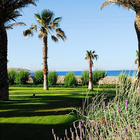 נאוסה Villa Bellonia מראה חיצוני תמונה