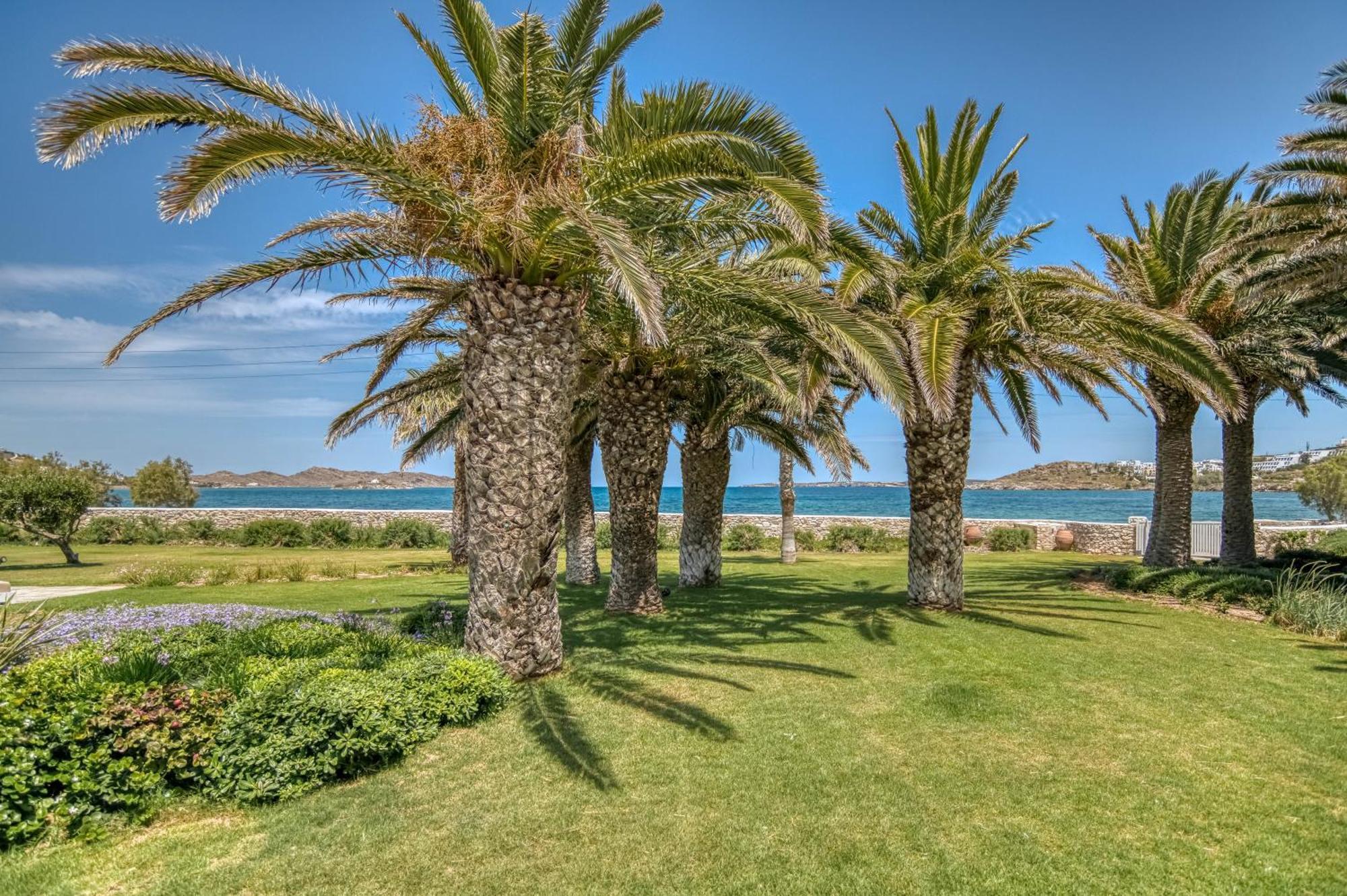 נאוסה Villa Bellonia מראה חיצוני תמונה