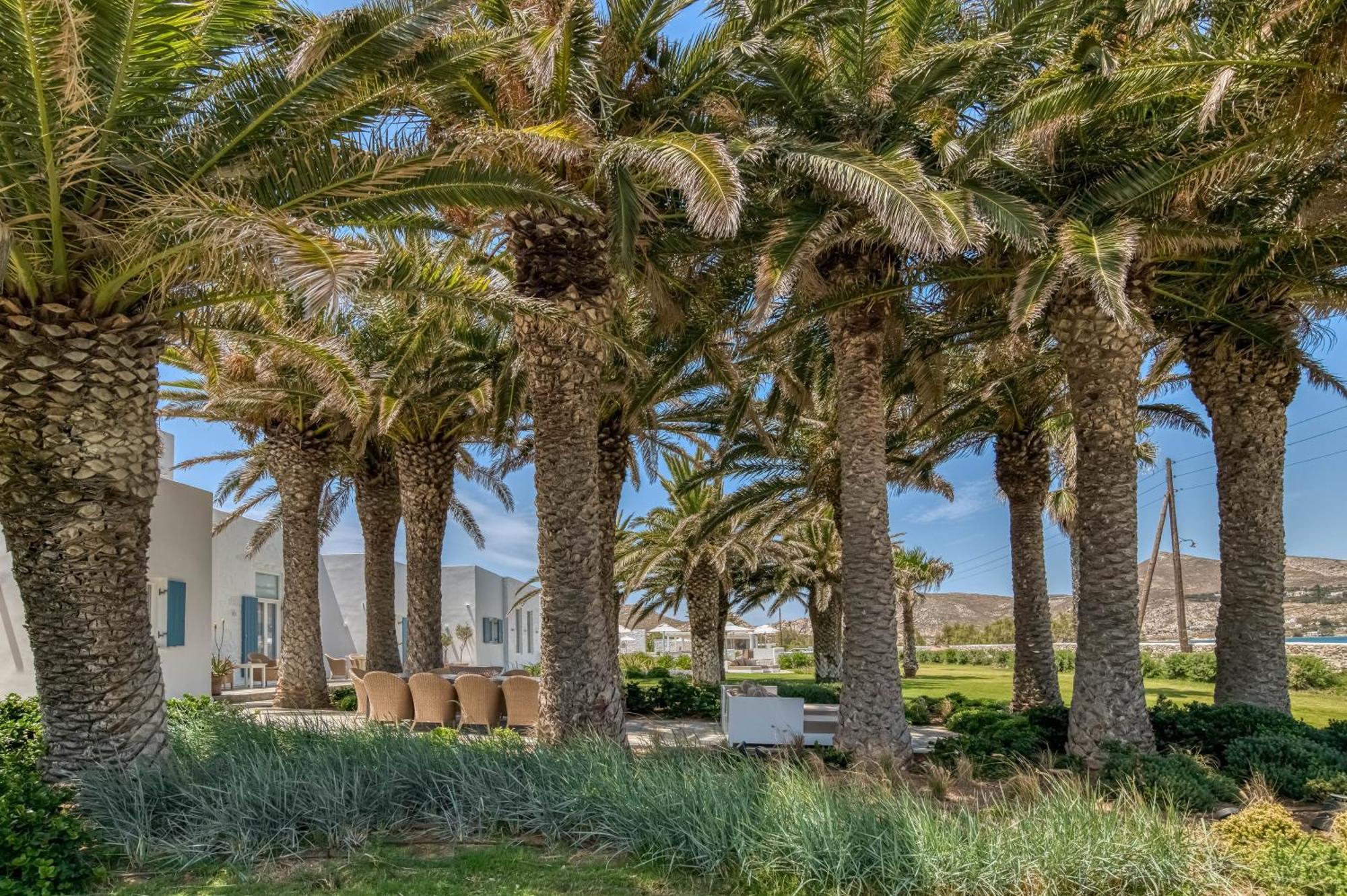 נאוסה Villa Bellonia מראה חיצוני תמונה
