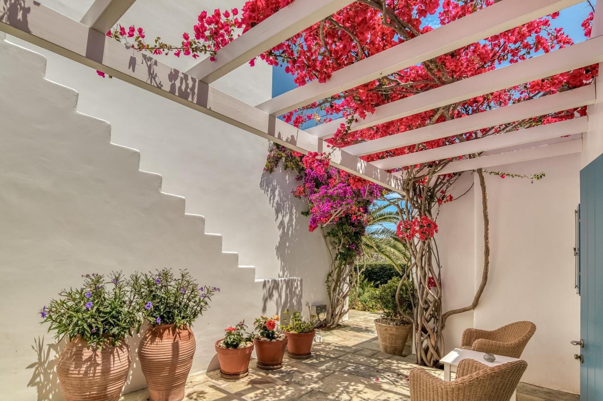 נאוסה Villa Bellonia מראה חיצוני תמונה