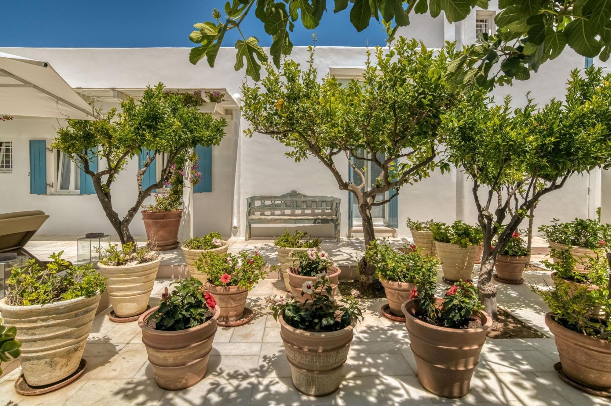 נאוסה Villa Bellonia מראה חיצוני תמונה