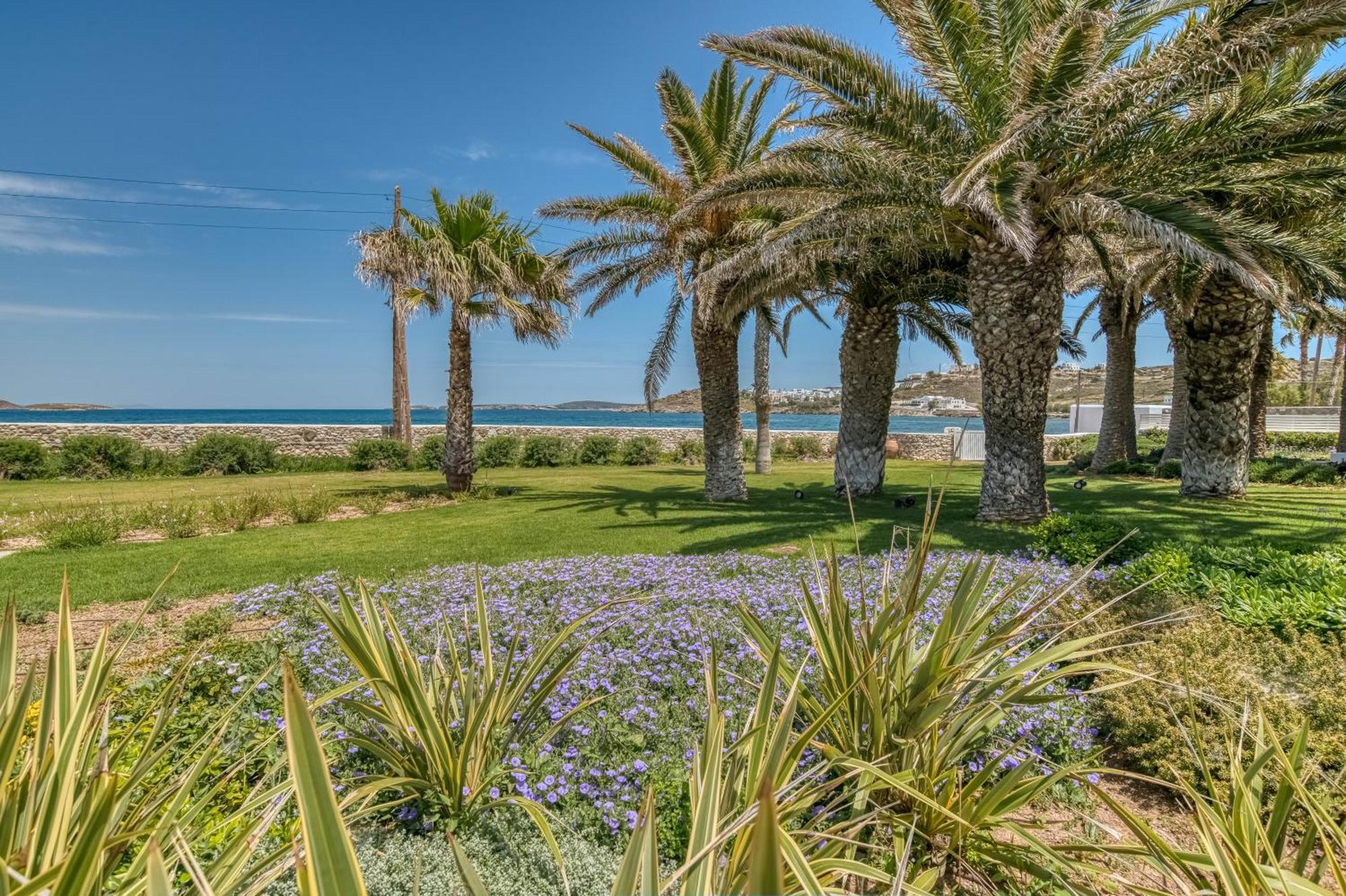 נאוסה Villa Bellonia מראה חיצוני תמונה